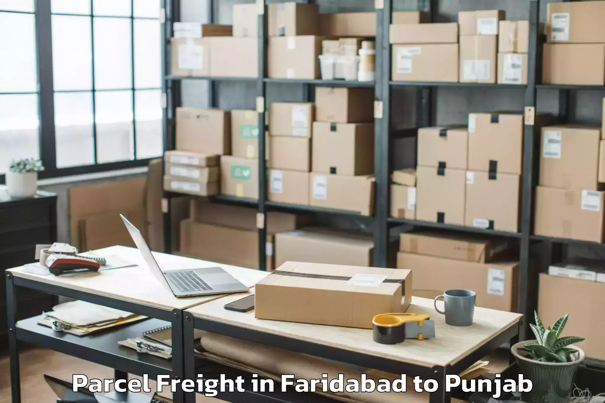 Efficient Faridabad to Dasuya Parcel Freight